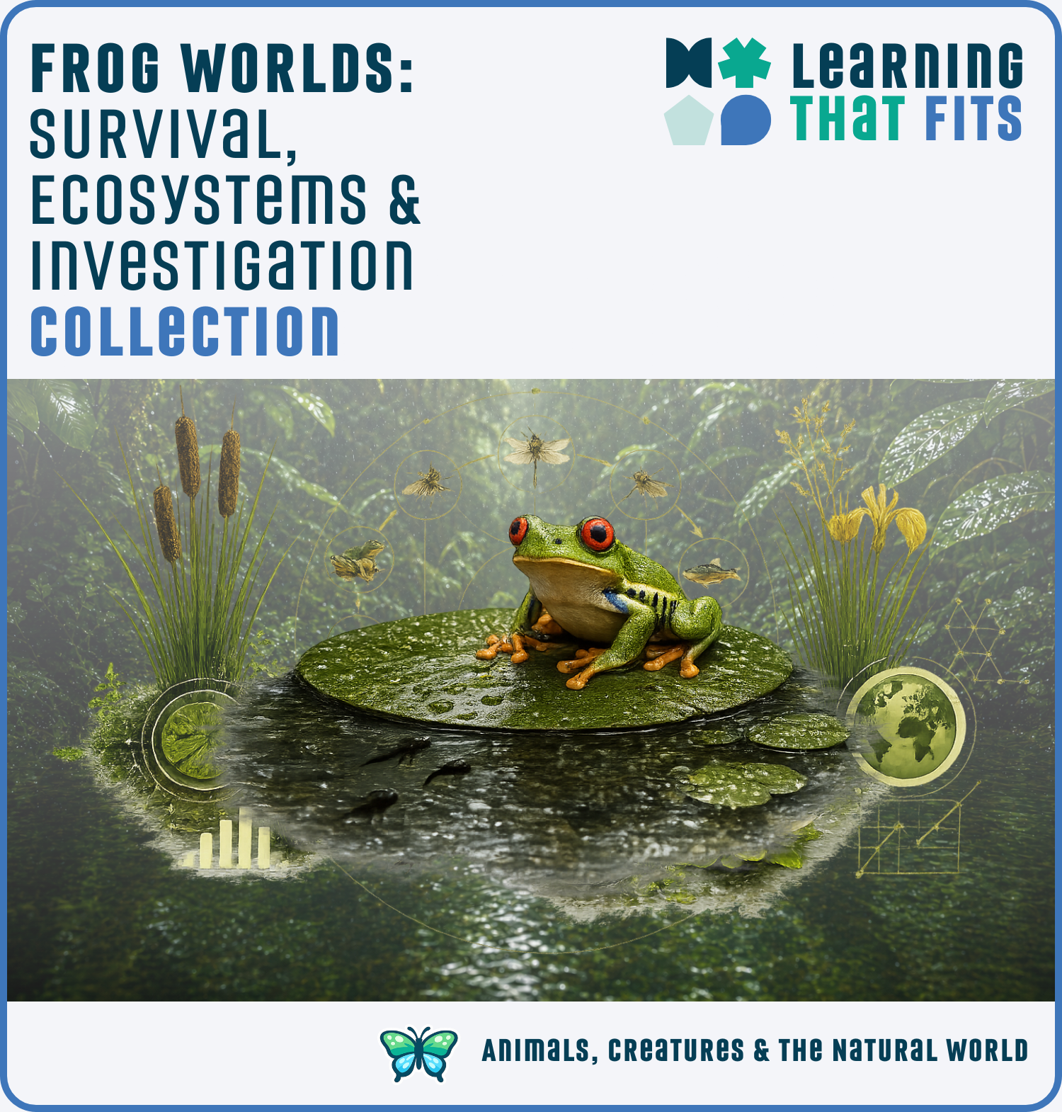 Frog Worlds: Survival, Ecosystems & Investigation