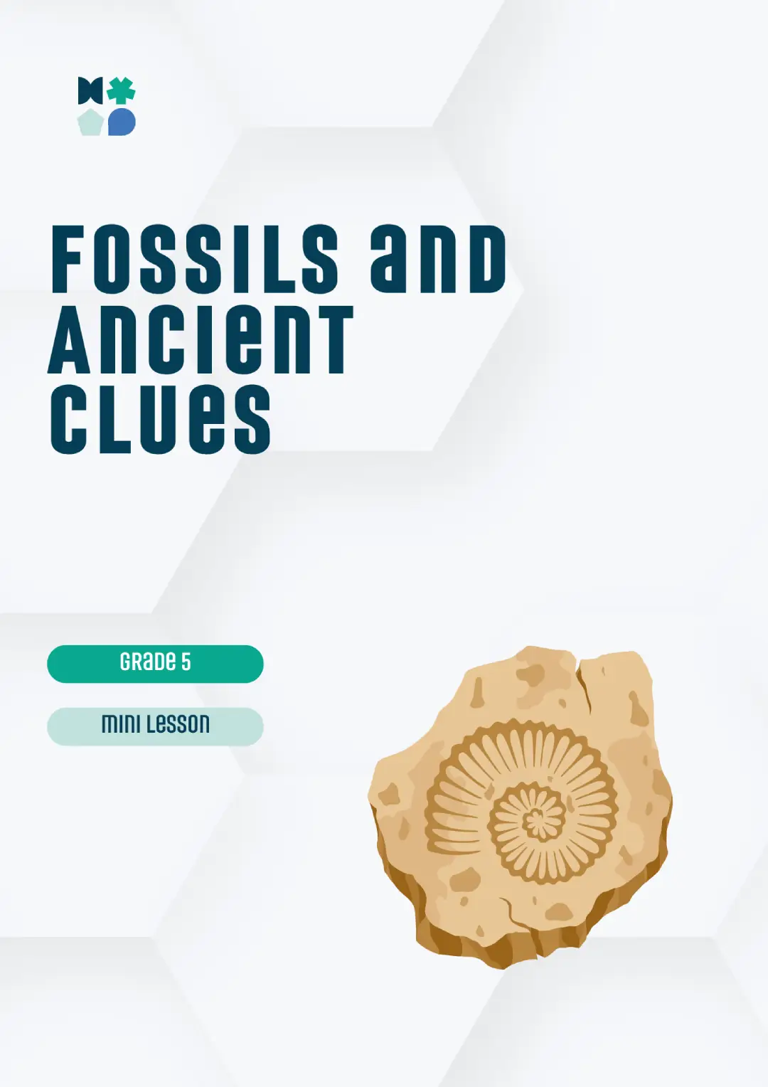 fossils and anclient clues